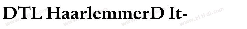 DTL HaarlemmerD It字体转换